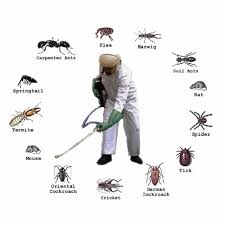 https://www.vivanpestcontrol.in/about-us
