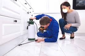 https://www.vivanpestcontrol.in/