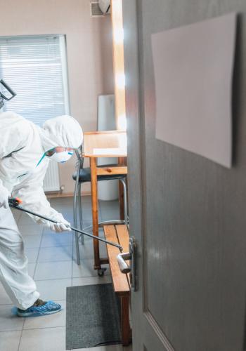 A Guide to Termite Pest Control in Delhi