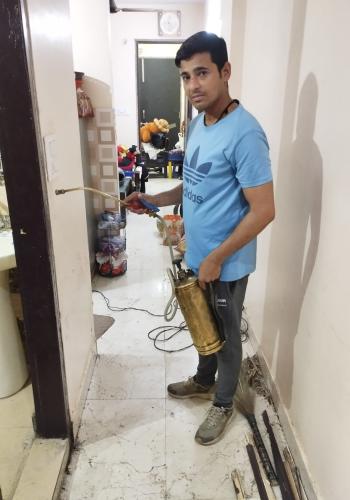 My Experience with Termite Treatment in Bindapur Matiala