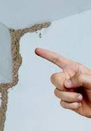 Termite treatment, Dimak treatment, Cockroach Treatment