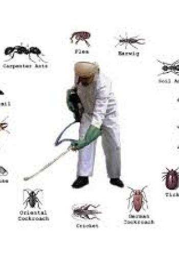 Best Pest control service in Matiyala 