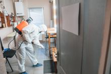 A Guide to Termite Pest Control in Delhi