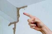 Termite treatment, Dimak treatment, Cockroach Treatment