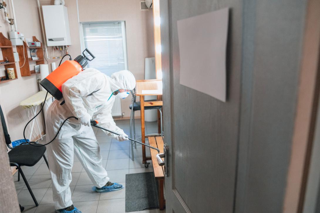 A Guide to Termite Pest Control in Delhi