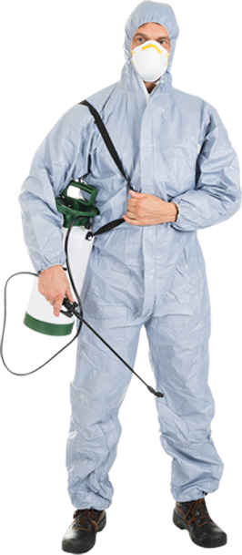 work image